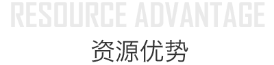 资源优势